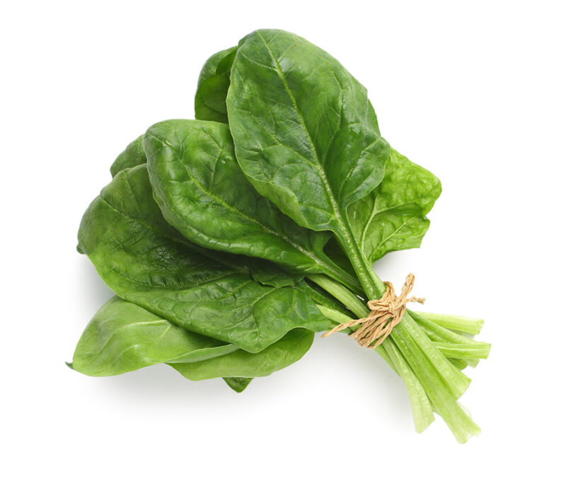 Espinaca