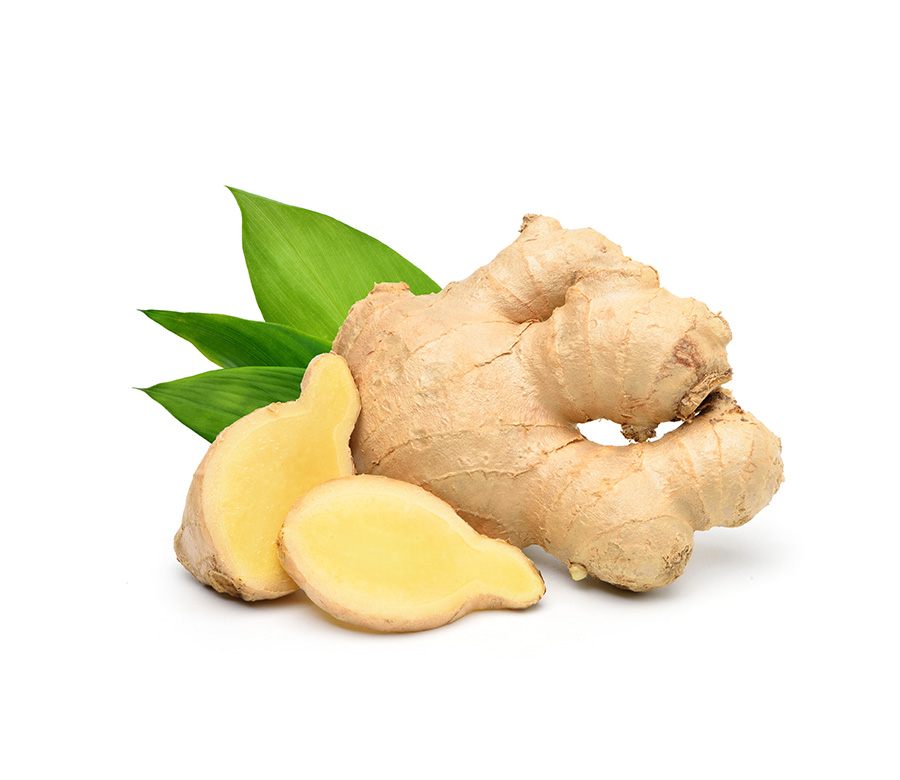 Jengibre