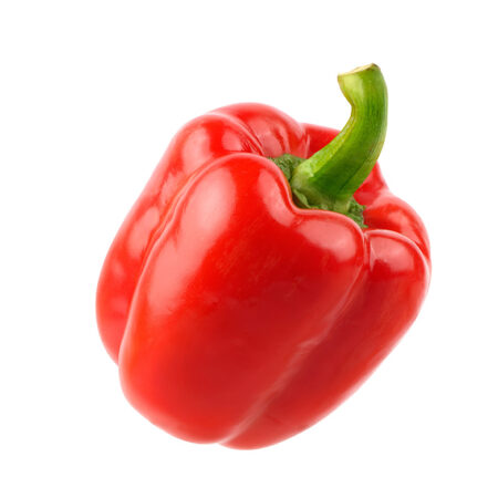 Morron Rojo