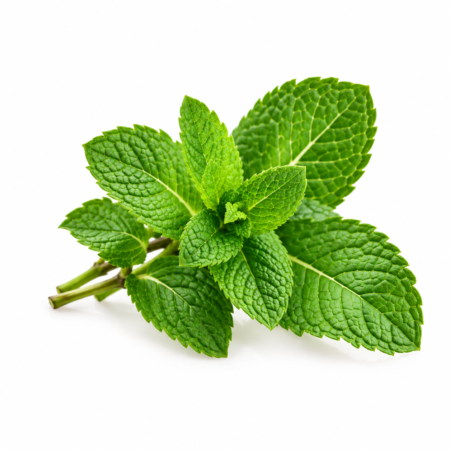 Menta (Bolsa)