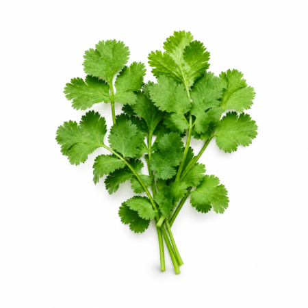 Cilantro (Bolsa)